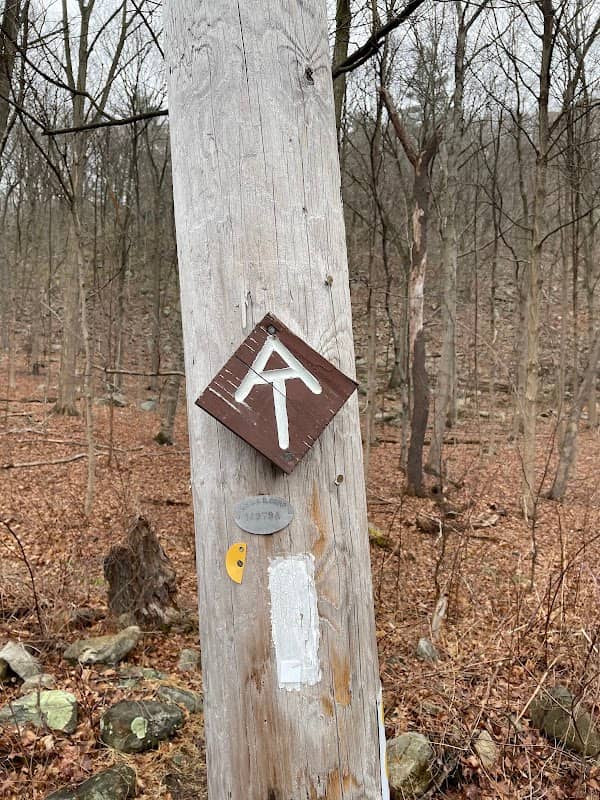 Trail Marker - Image 2