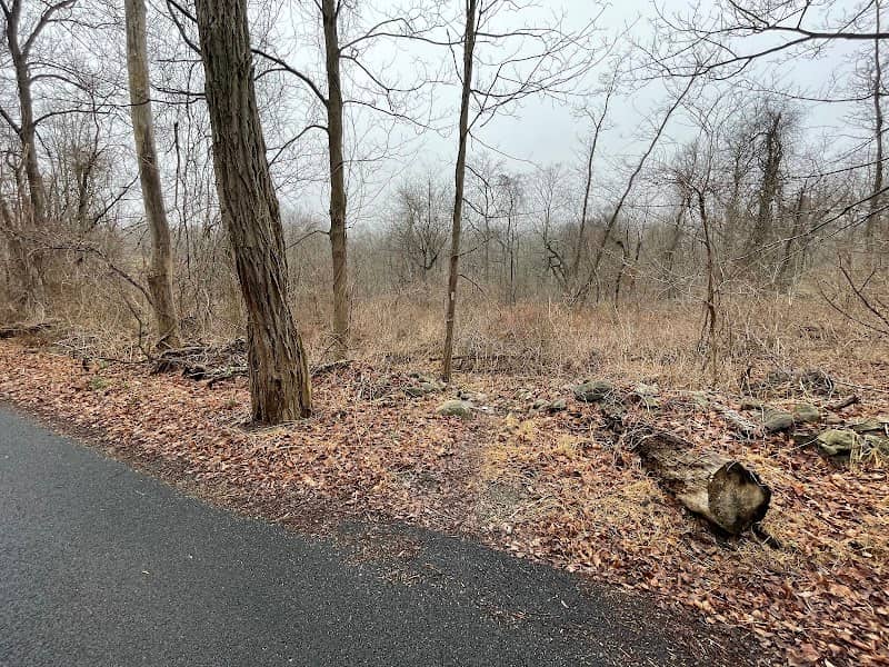 Trail Marker - Image 1