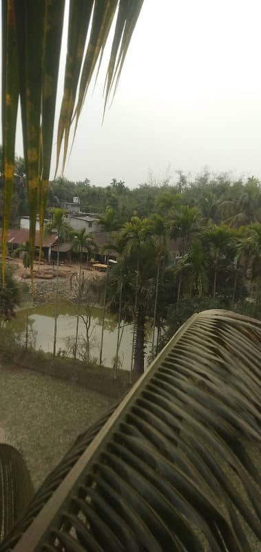 Adivasi para - Image 1
