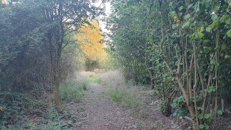 Pessall Brook Wood - Image 1