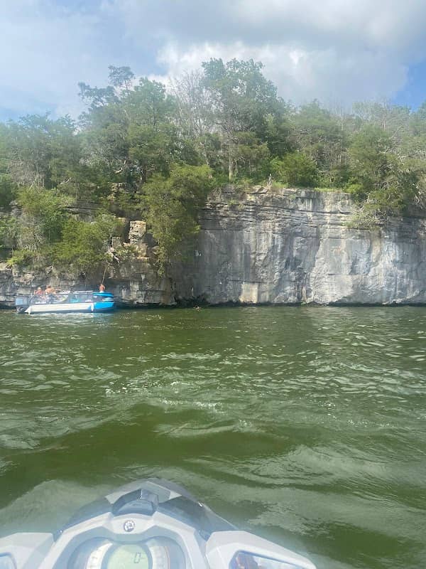 Goat Island - Image 2