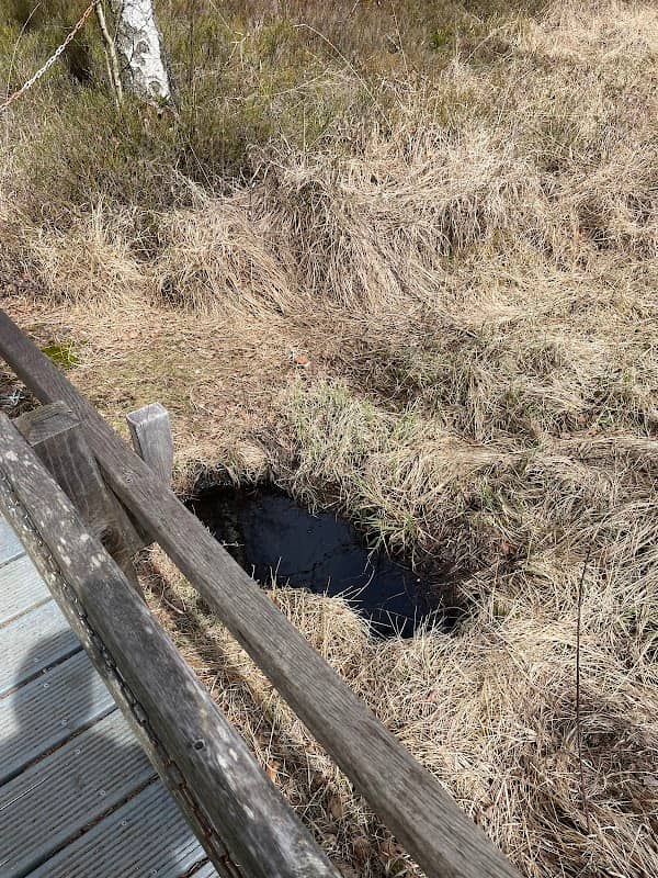 Wasserloch Moor - Image 1