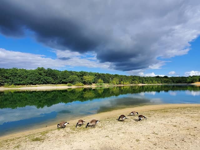 South Vineland Park - Image 2