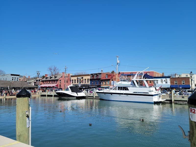Annapolis City Dock - Image 2