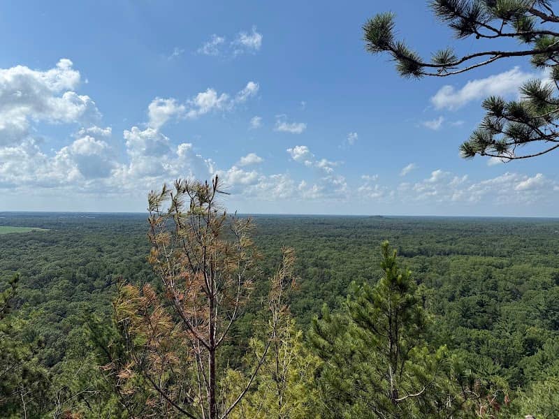 Roche-A-Cri Mound State Natural Area - Image 2