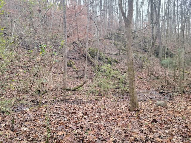 North Ridge Trail, Illinois Ave access - Image 2