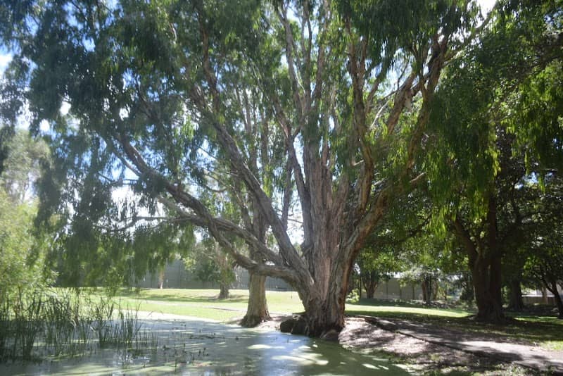 Ducat Park - Image 3