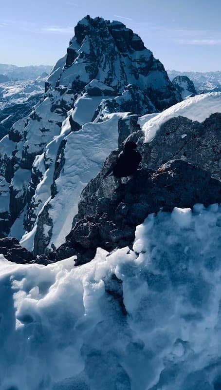 Watzmann Hocheck - Image 3