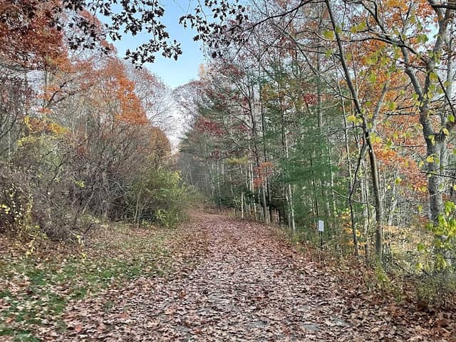Dover Community Trail - Watson Road Trailhead - Image 1