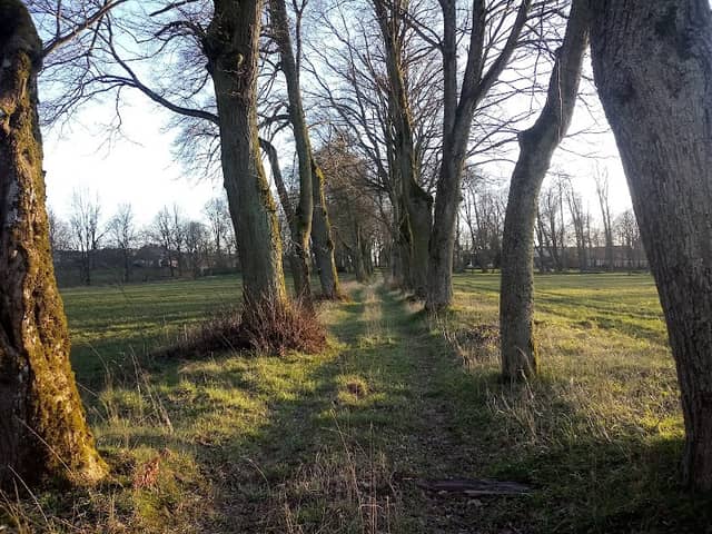 Park - Image 1