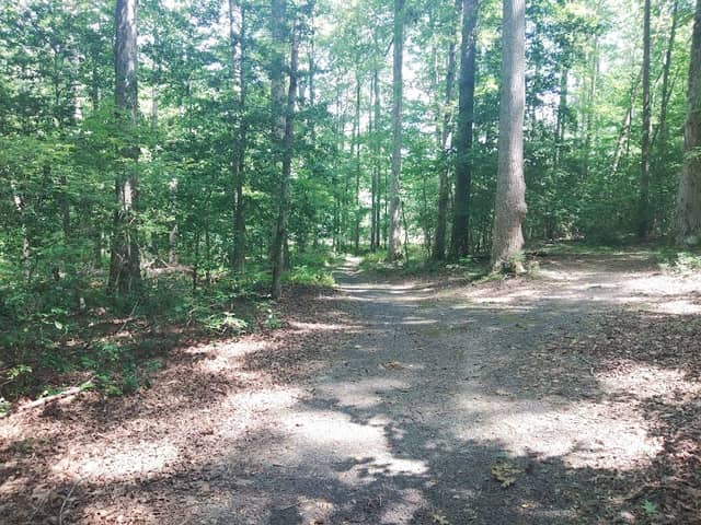 Wilderness Presidential Resort Fitness Trail - Image 2