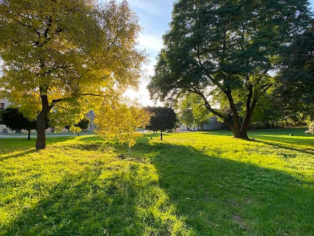Park - Image 1