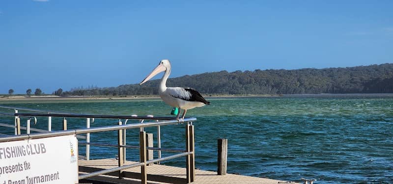 Batemans Marine Park - Image 2