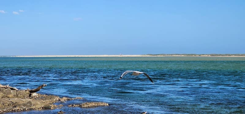Batemans Marine Park - Image 3