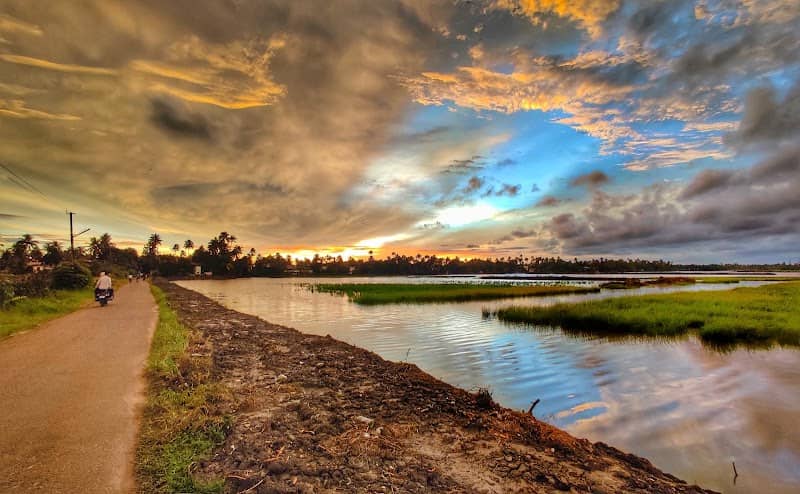 Devaswampadam Chera (Paddy Fields) - Image 1