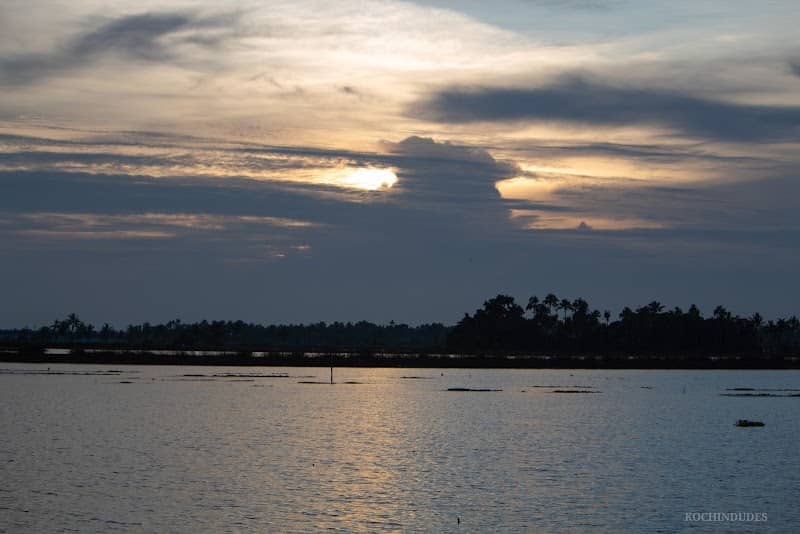 Devaswampadam Chera (Paddy Fields) - Image 2