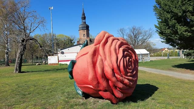 Die Rose von Neupetershain - Image 1