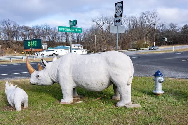 Bedford Rhinos - Image 2