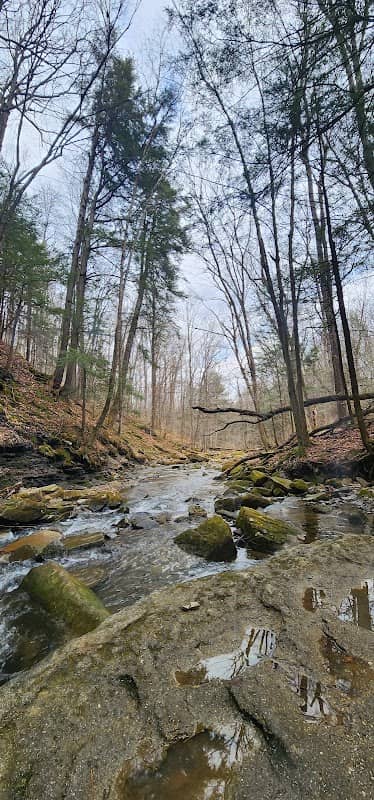 Allegany State Park - Red House Area - Image 2