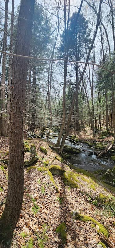 Allegany State Park - Red House Area - Image 1