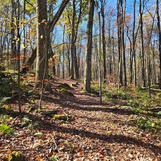 LHHT Jersey Hollow Trailhead - Image 2