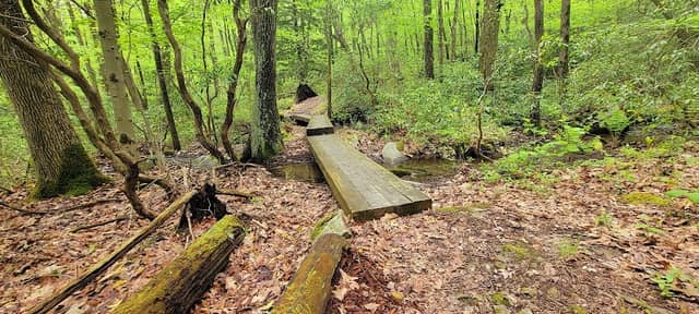 LHHT Jersey Hollow Trailhead - Image 1