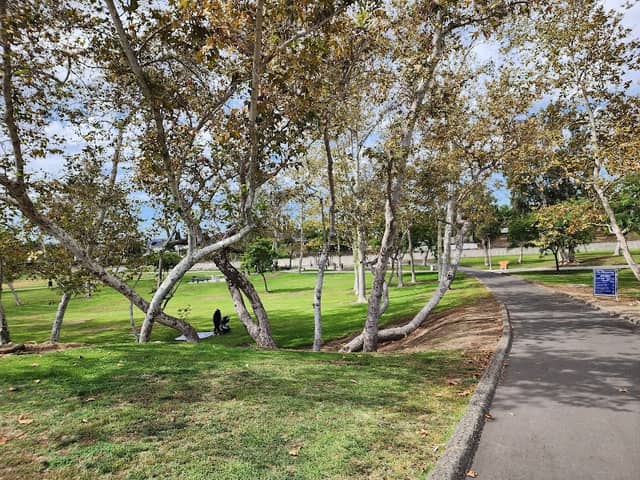 Sycamore Park - Image 4