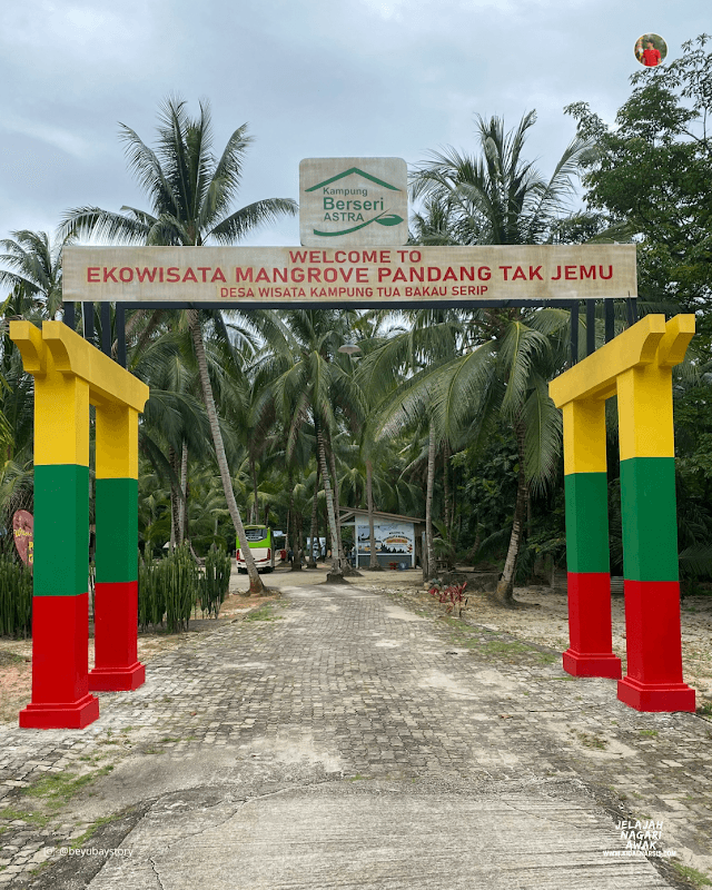 Wisata Alam Mangrove Pandang Tak Jemu - Image 1
