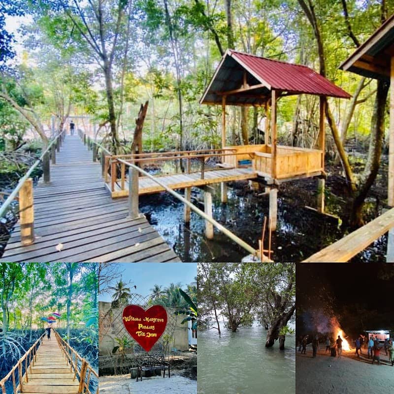 Wisata Alam Mangrove Pandang Tak Jemu - Image 2