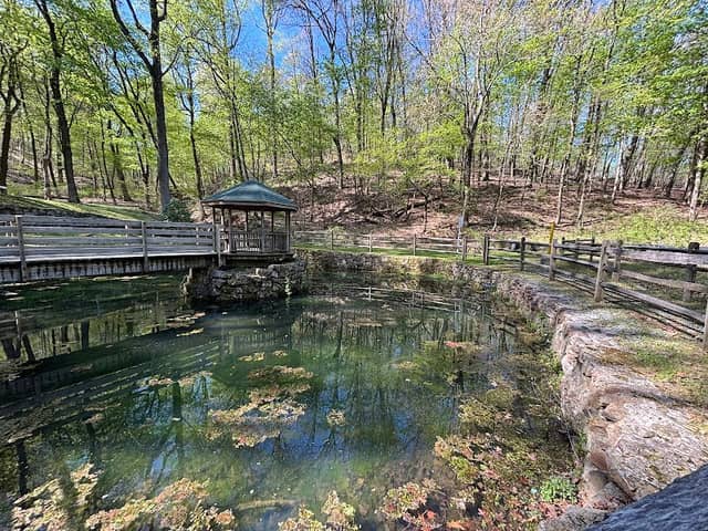 Lechauweki Springs - Image 1