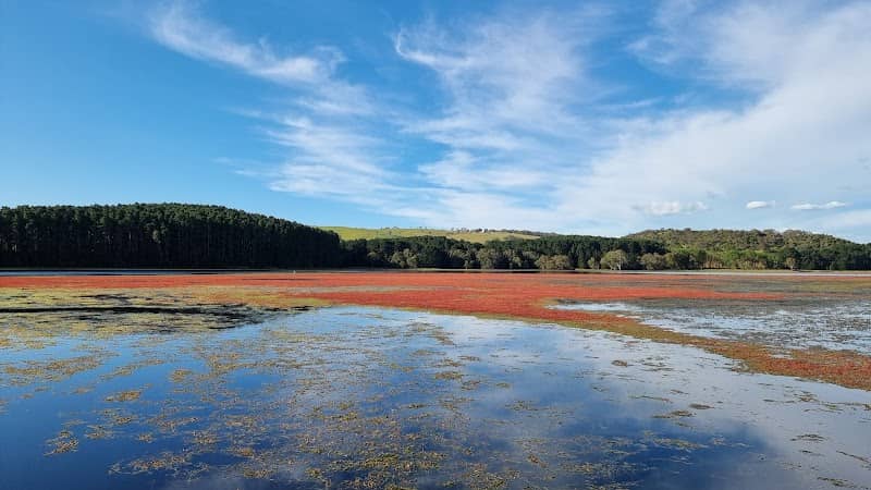 Myponga Reservior kayak launch point - Image 1