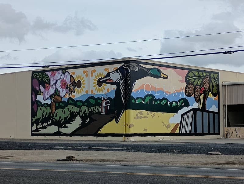 Sunsweet / Sunrise Dryers Mural - Image 1