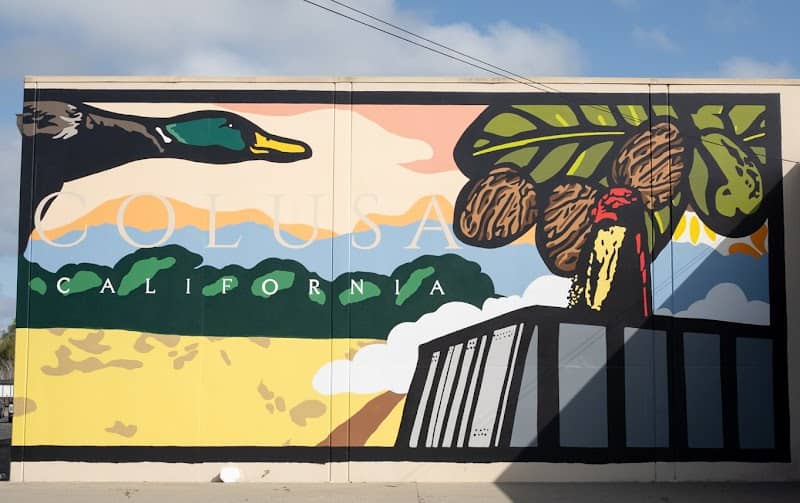 Sunsweet / Sunrise Dryers Mural - Image 2
