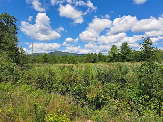 Big Bend Preserve- Moreau Lake State Park - Image 1