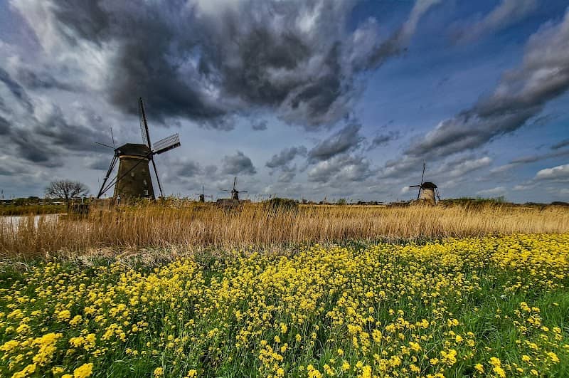 Boezems Kinderdijk - Image 2