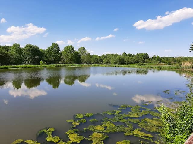 William J. Robertson Nature Preserve - Image 1