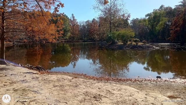 West Frankfort Park Office - Image 1