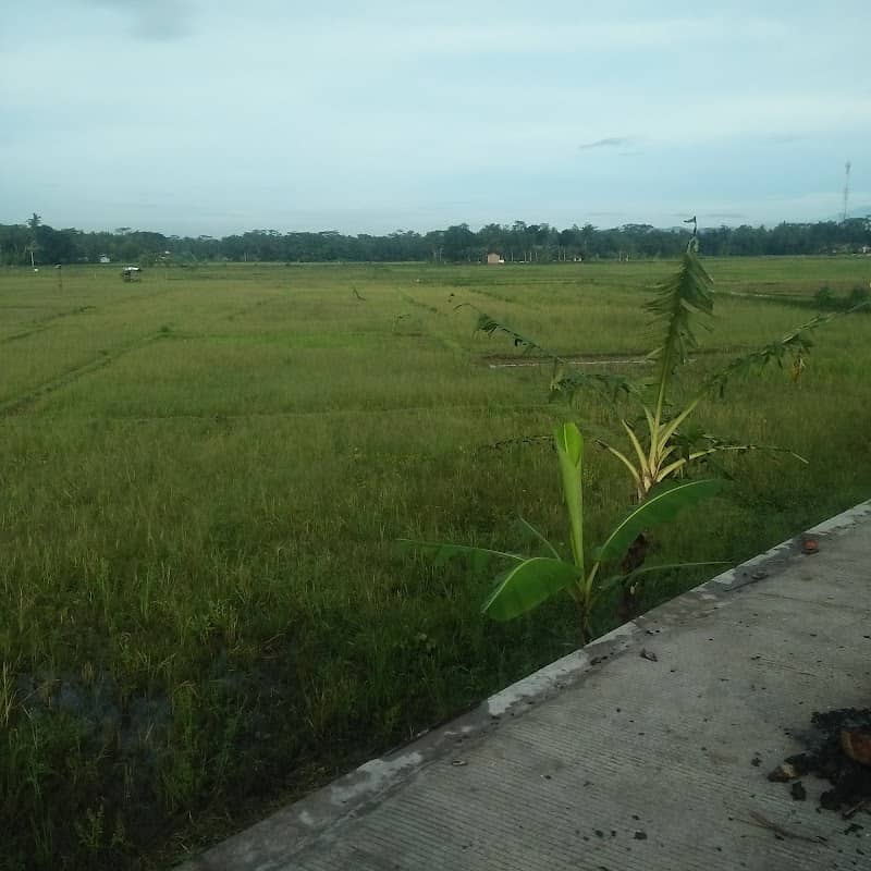 SUNSET VIEW - Image 1
