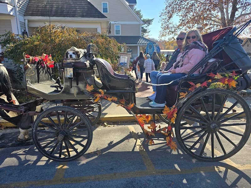 Count It All Joy Carriages - Image 1