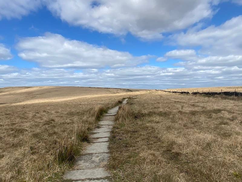 Yarrow headwaters walk - Image 2