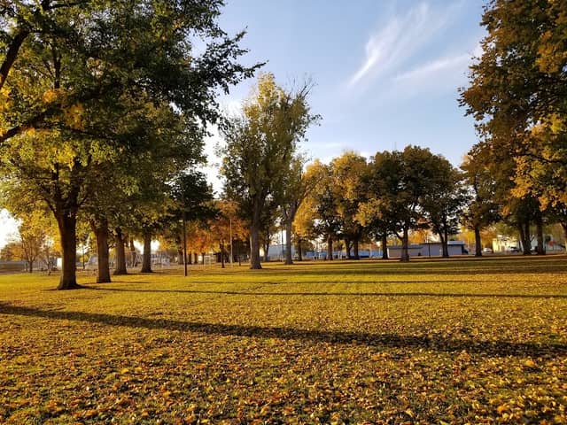 Memorial Park - Image 1