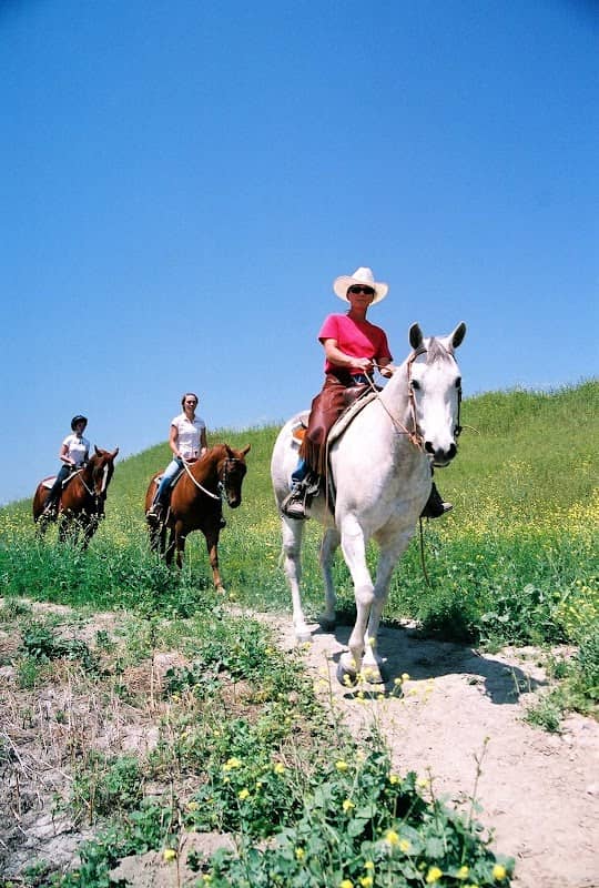 Moreno Valley Equestrian Park & Nature Center - Image 1