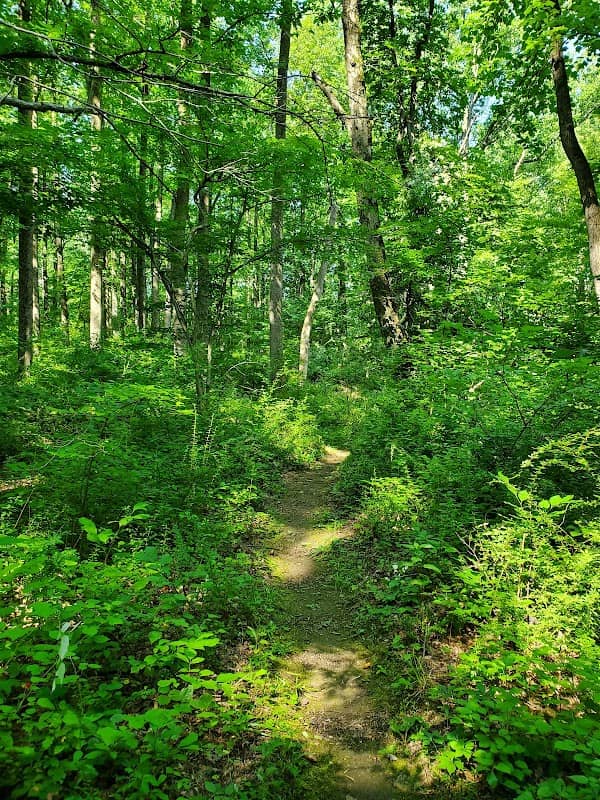 Holland Highlands Preserve, Anderson Rd. Trailhead - Image 1