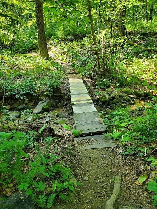 Holland Highlands Preserve, Anderson Rd. Trailhead - Image 2