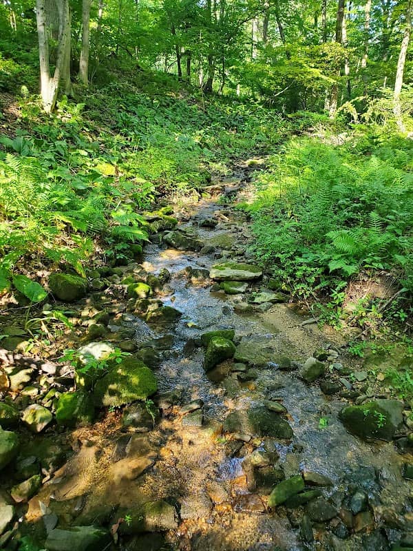Holland Highlands Preserve, Anderson Rd. Trailhead - Image 3