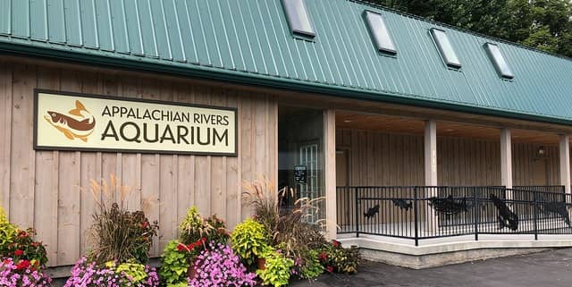 Appalachian Rivers Aquarium - Image 1
