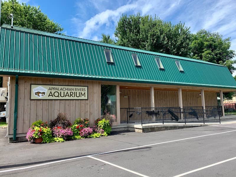 Appalachian Rivers Aquarium - Image 2