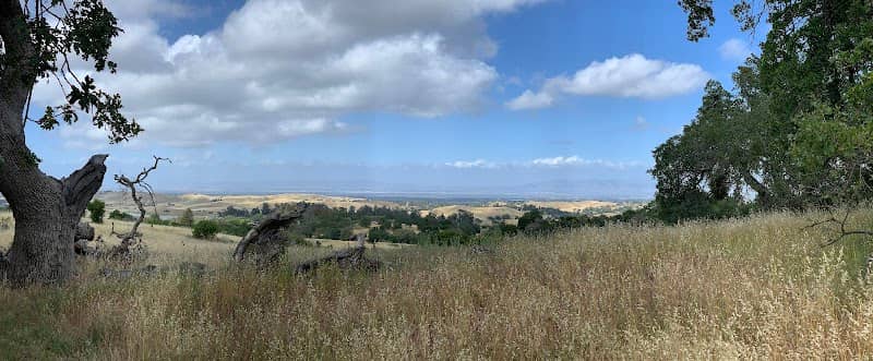Upper Arastradero Bowl - Image 1