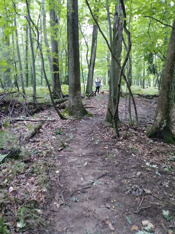 Bundy Hill Preserve - Image 2