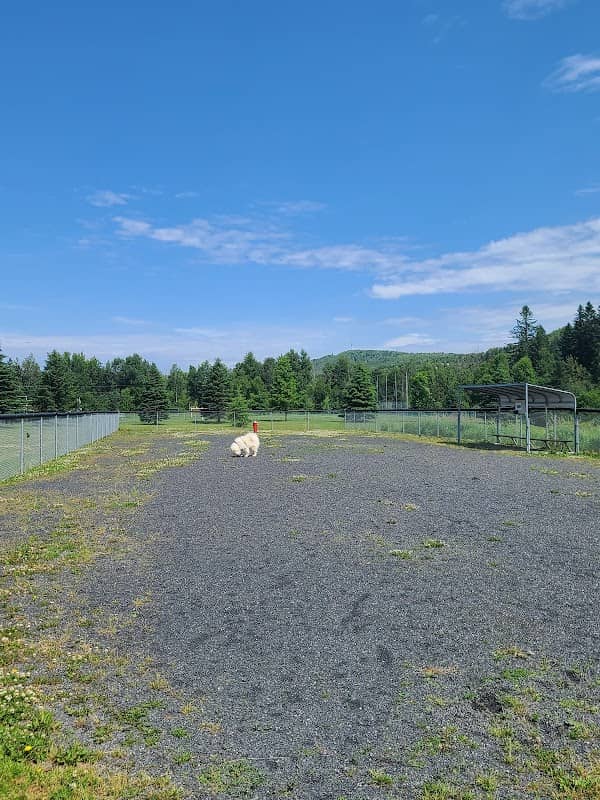Parc canin - Image 1